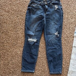Judy Blue Dark Wash Distressed Skinny Jeans